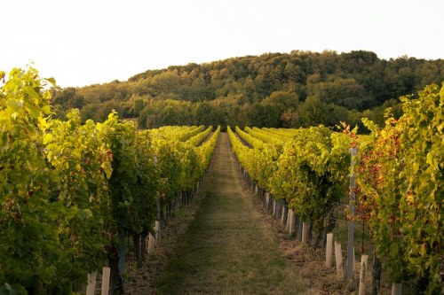 Wineries
